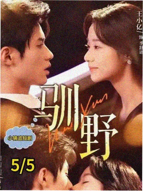 旧城十二时热播剧集在线观看